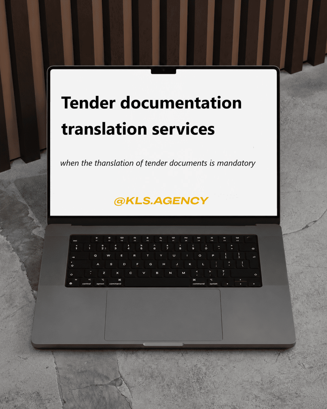 Tender documentation translation services